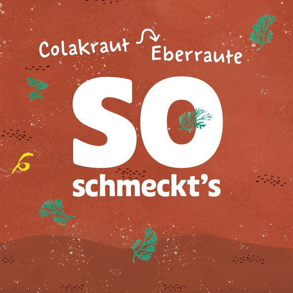 Text "That's how it tastes: colac herb, southernwood" with herb illustrations